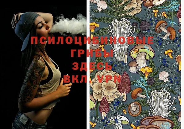 MDMA Алексеевка