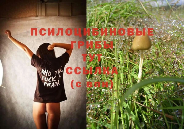 индика Алзамай