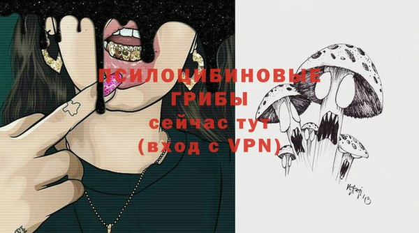 индика Алзамай