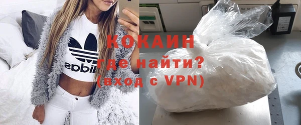 индика Алзамай