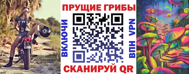 Псилоцибиновые грибы Psilocybine cubensis  цена наркотик  Железногорск-Илимский 